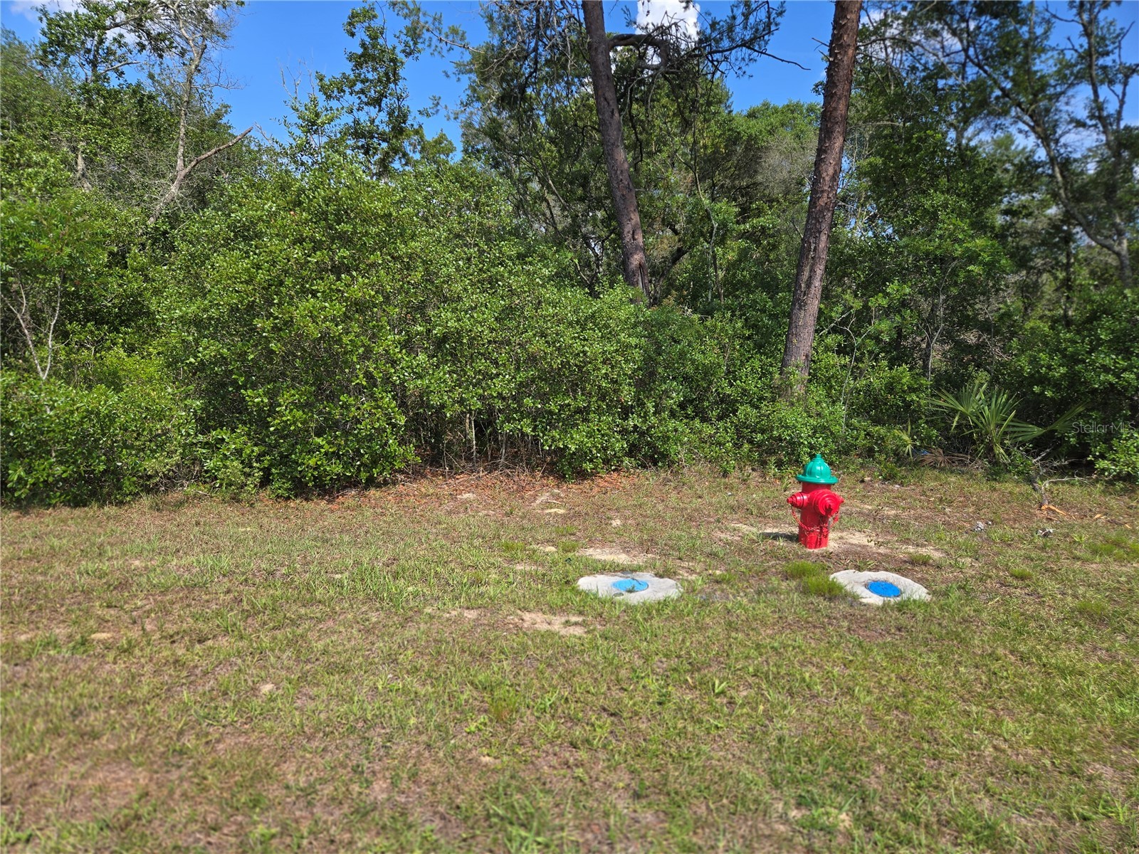 00 Marion Oaks Boulevard Ocala FL 34473 TB8513009 image2