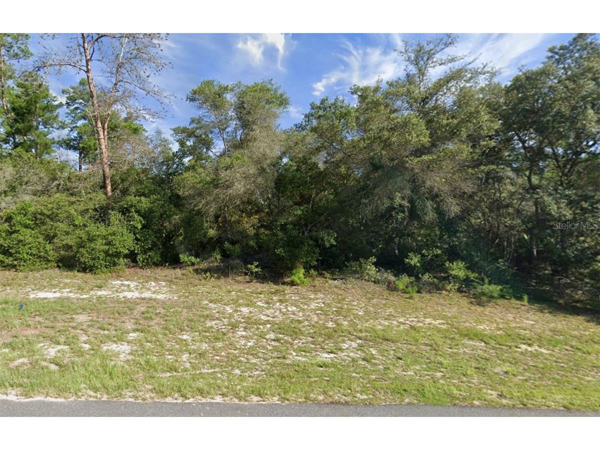 00 Marion Oaks Golf Way Ocala FL 34473 OM673127 image1