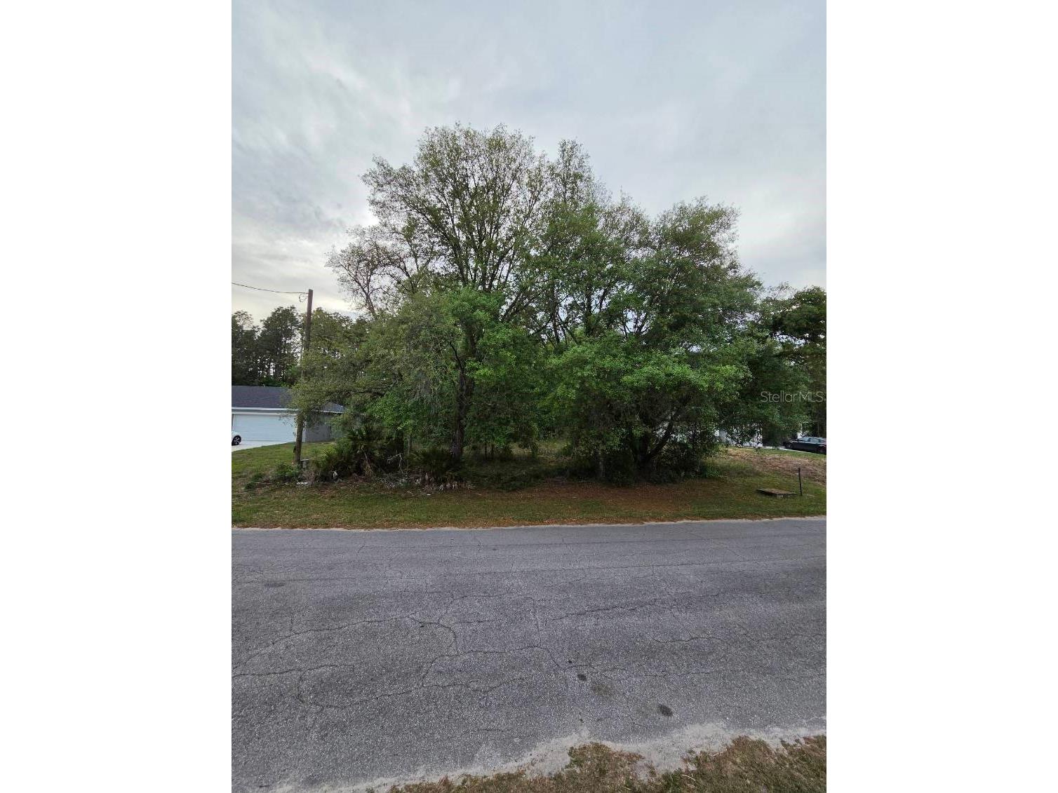00 Marion Oaks Pass Ocala FL 34473 OM724004 image1