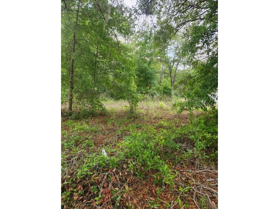 00 Marion Oaks Pass Ocala FL 34473 OM724004 image2