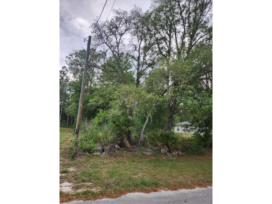 00 Marion Oaks Pass Ocala FL 34473 OM724004 image3