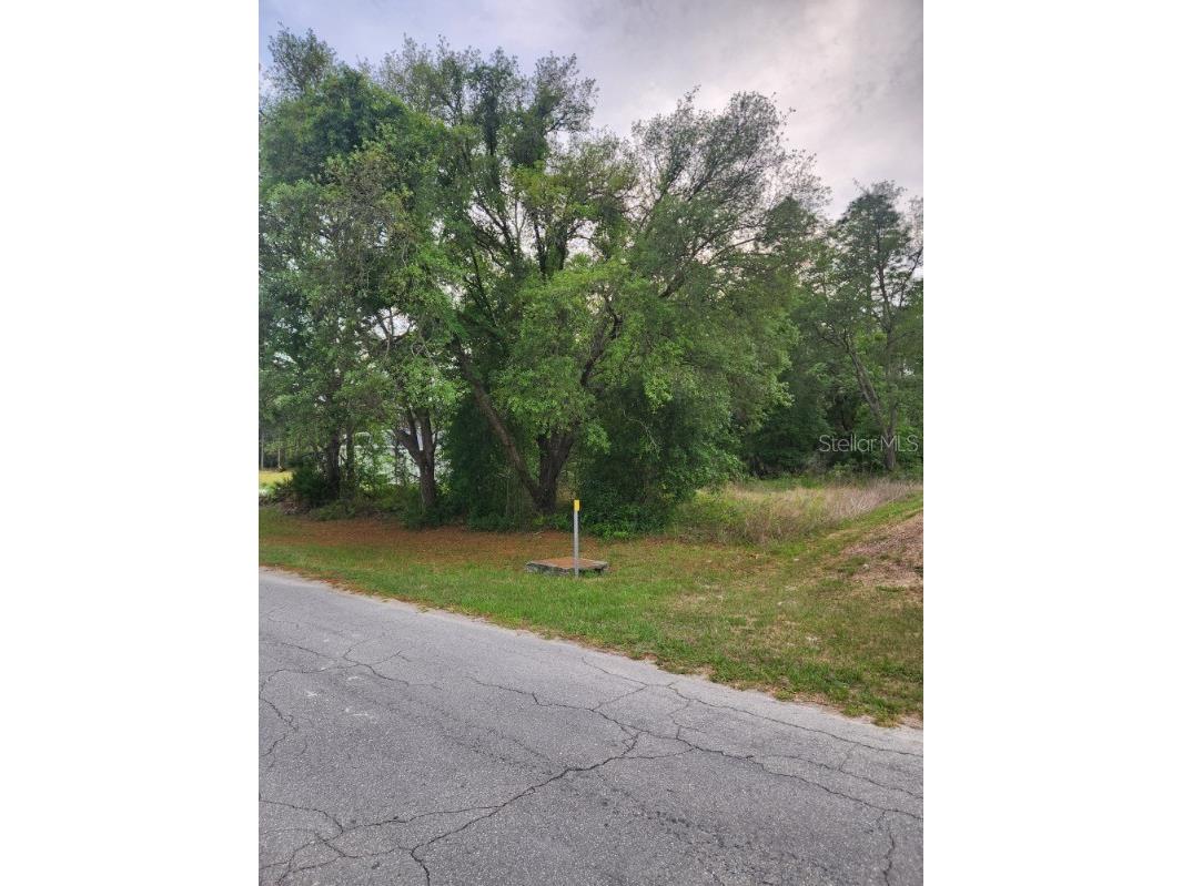00 Marion Oaks Pass Ocala FL 34473 OM724004 image5