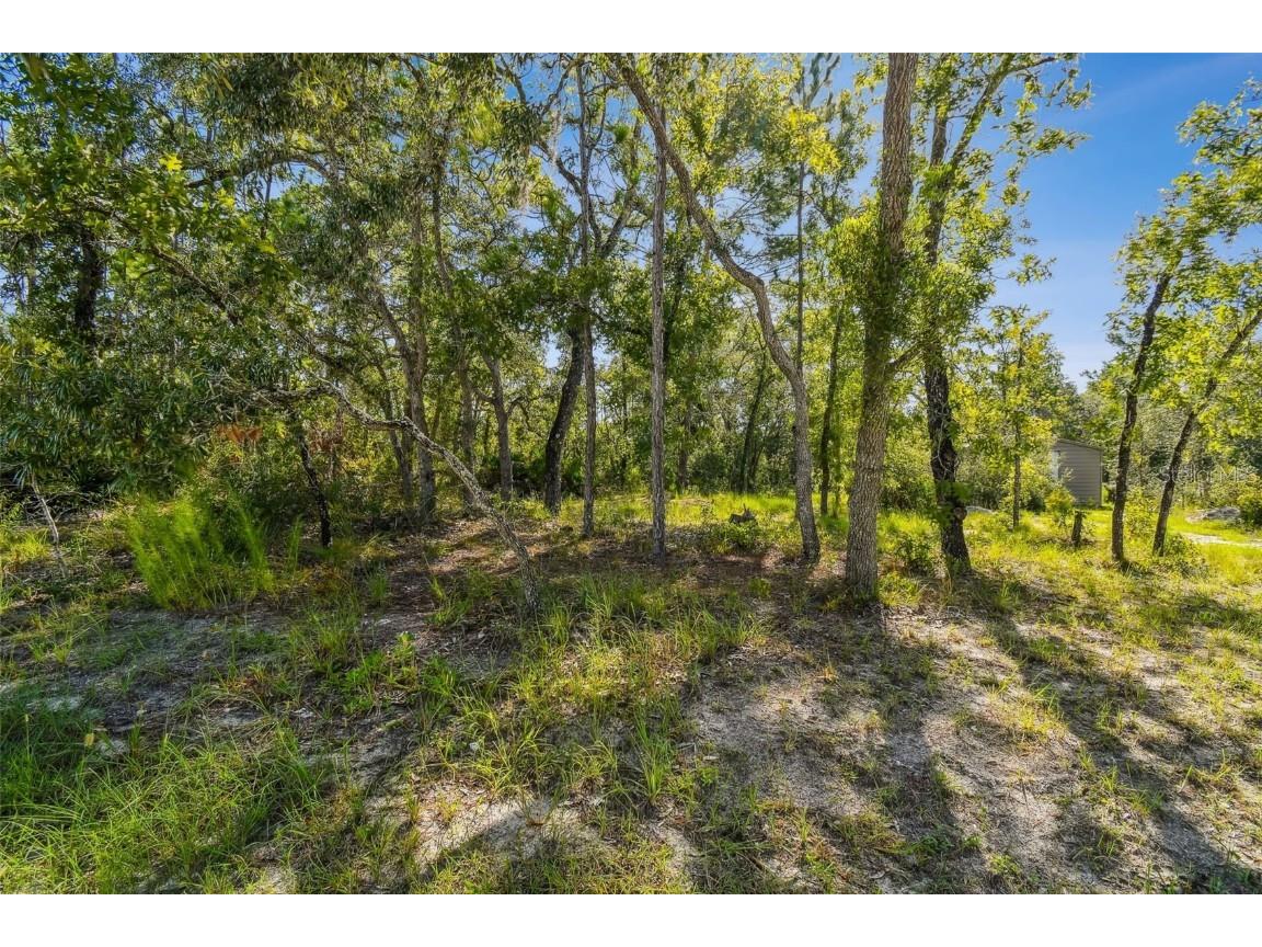 00 Maybird Avenue Weeki Wachee FL 34613 TB8414855 image1