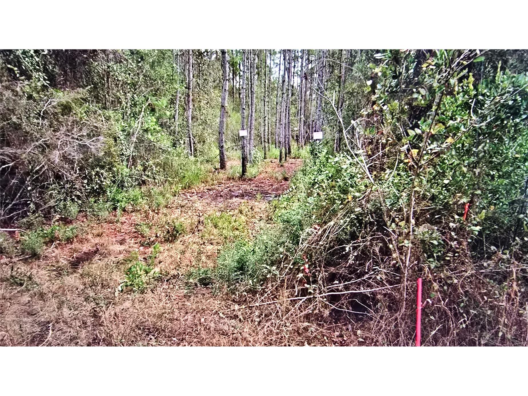 00 Memory Lane Milton FL 32583 OM725186 image3