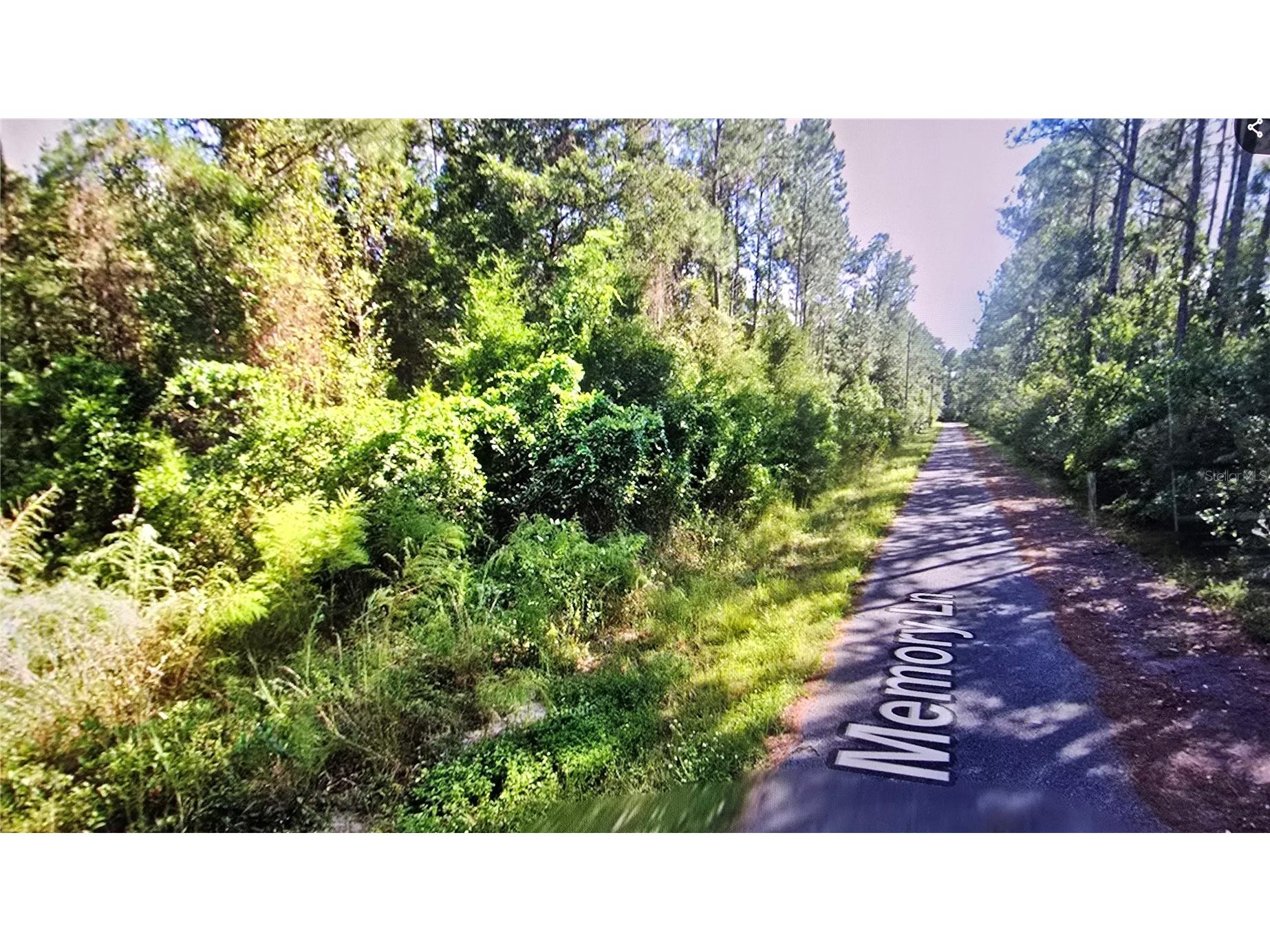 00 Memory Lane Milton FL 32583 OM725186 image4