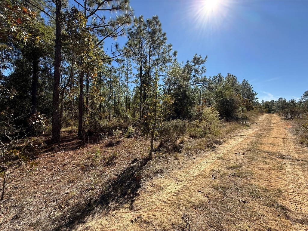 00 Monroe Hawthorne FL 32640 FC314034 image3