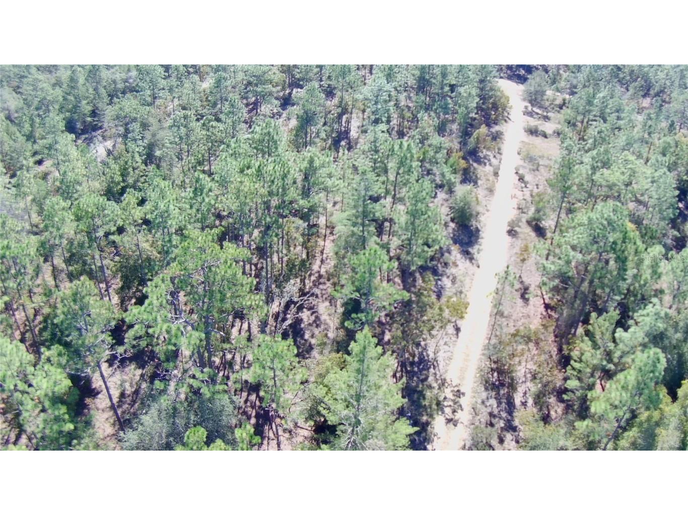 00 Monroe Hawthorne FL 32640 FC314034 image4