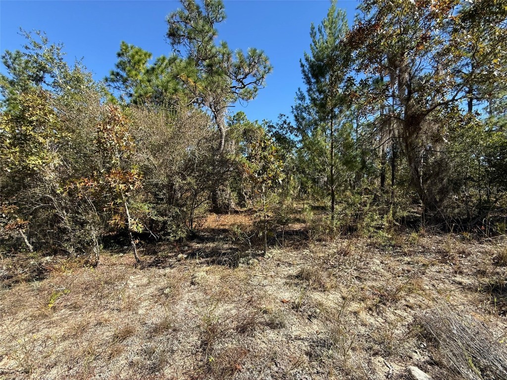 00 Monroe Hawthorne FL 32640 FC314034 image5