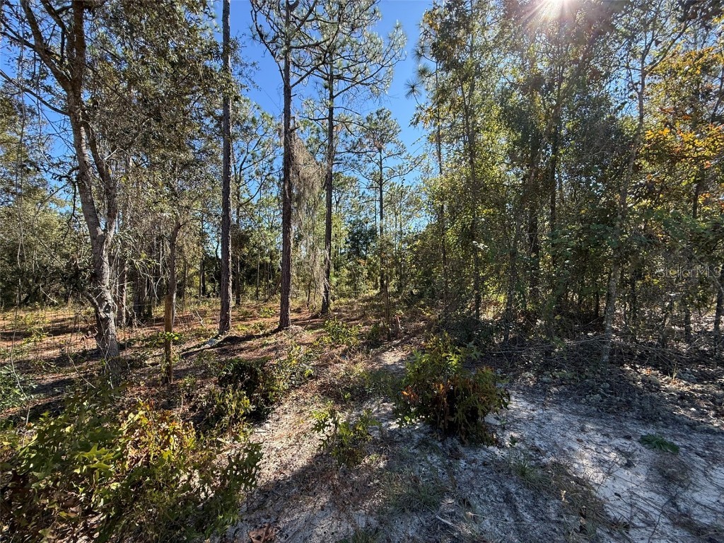 00 Monroe Hawthorne FL 32640 FC314034 image6