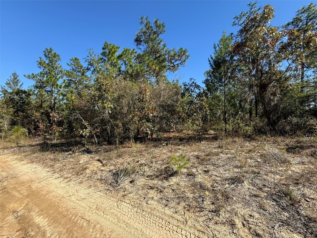 00 Monroe Hawthorne FL 32640 FC314034 image7