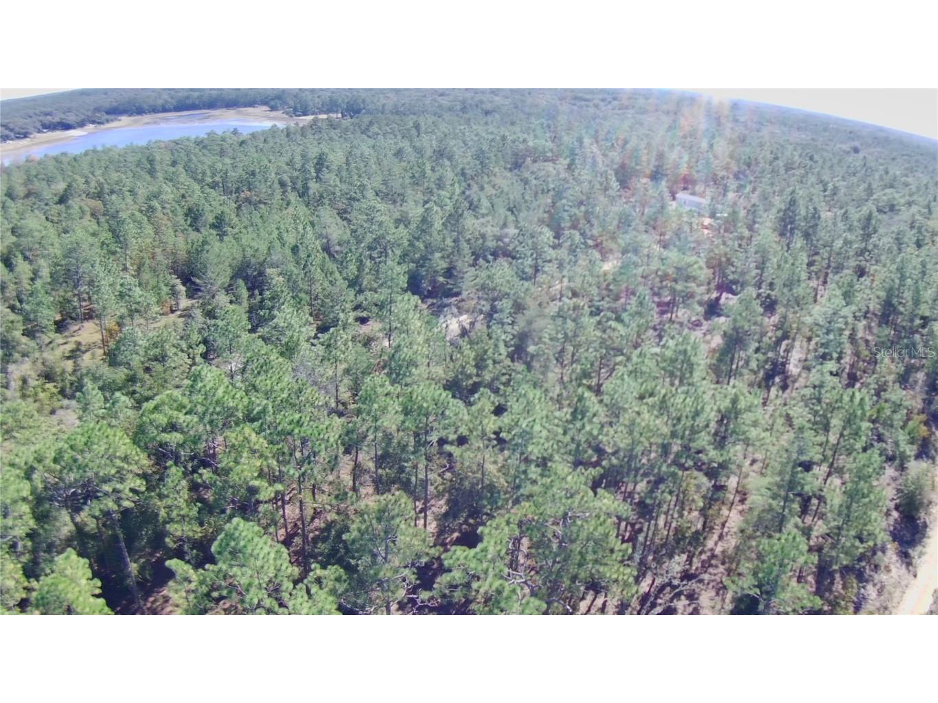 00 Monroe Hawthorne FL 32640 FC314034 image8