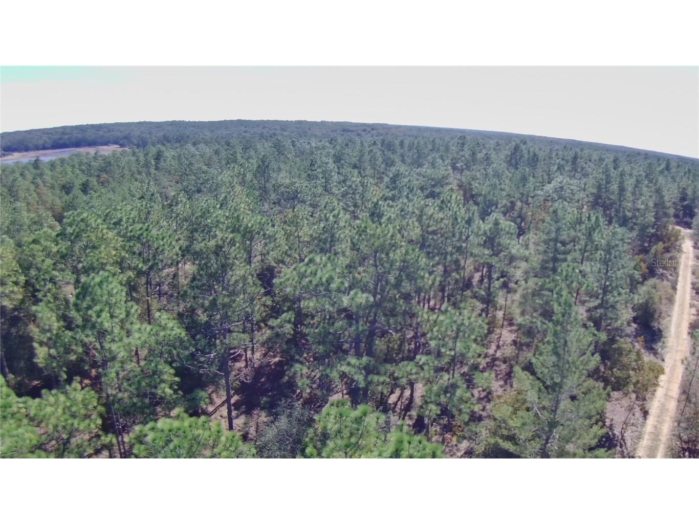 00 Monroe Hawthorne FL 32640 FC314034 image9