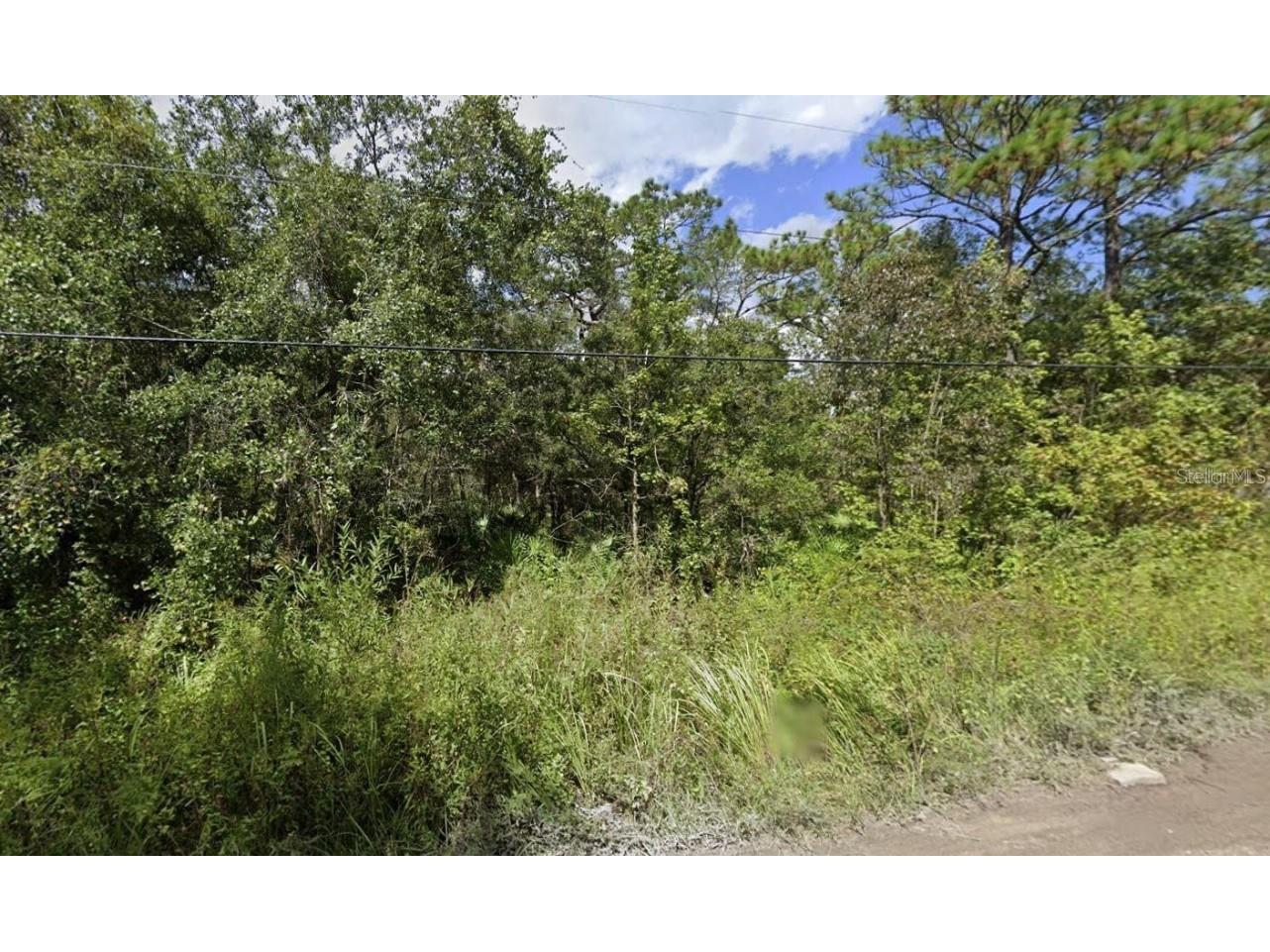 00 Morton Street New Port Richey FL 34654 W7873591 image1