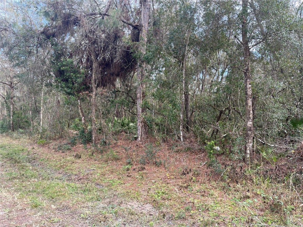 00 N Canal Street Webster FL 33597 OM651019 image1