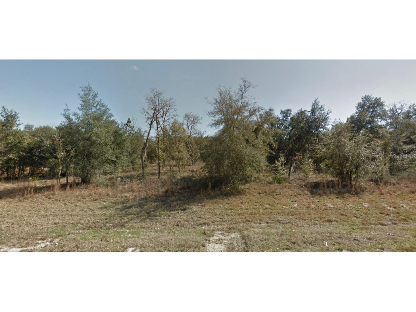 00 NE 106th Terrace #11 Williston FL 32696 U8181057 image1