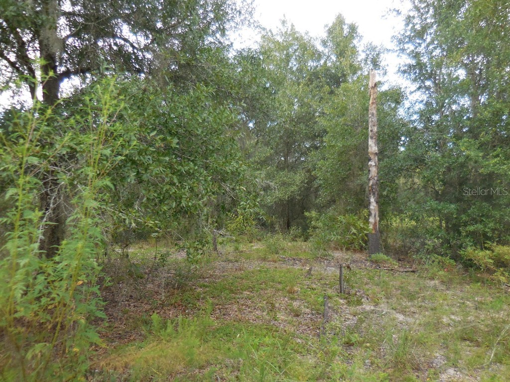 00 NE 107th Terrace Archer FL 32618 GC508897 image1