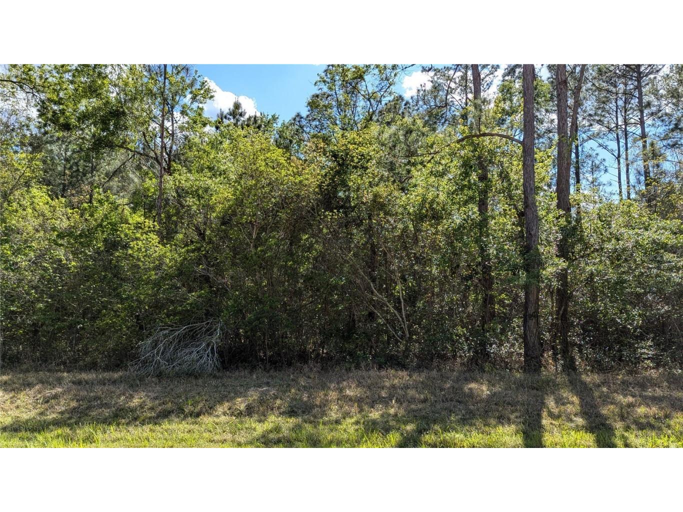 00 NE 108th Place Waldo FL 32694 GC529878 image1