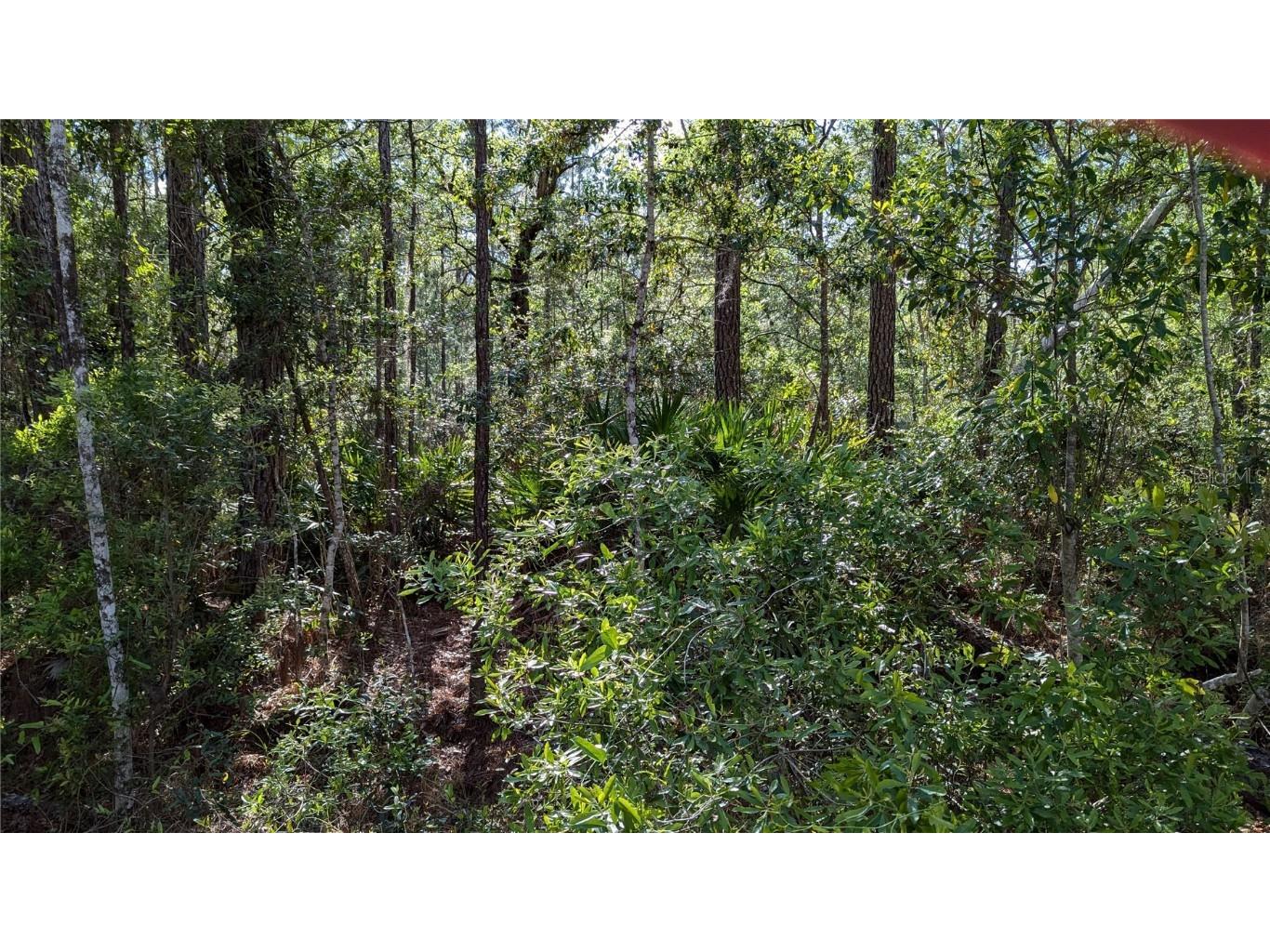 00 NE 108th Place Waldo FL 32694 GC529878 image3