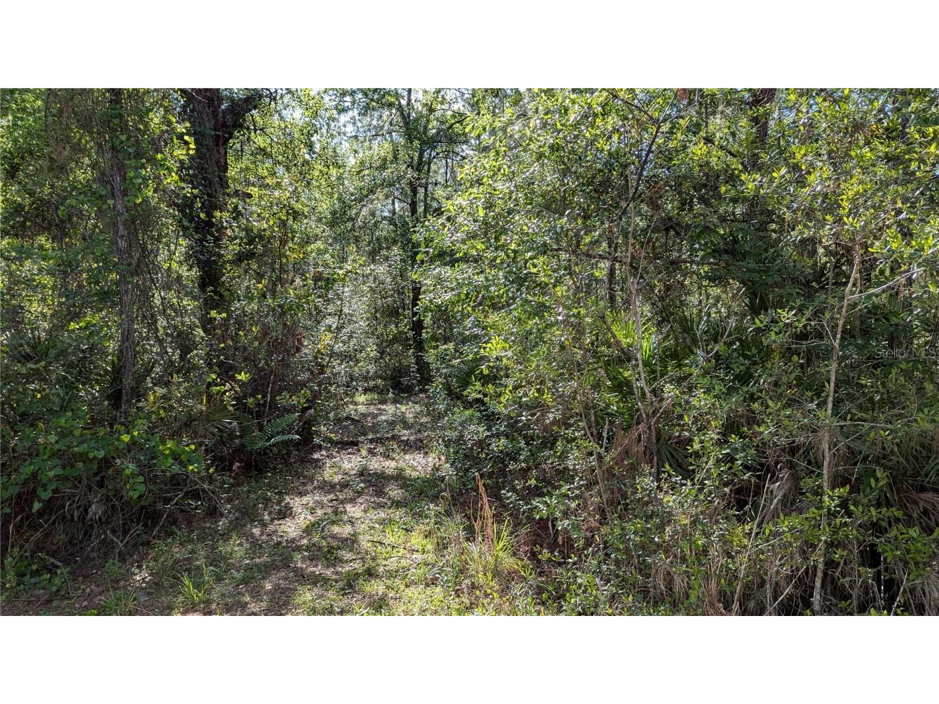 00 NE 108th Place Waldo FL 32694 GC529878 image4