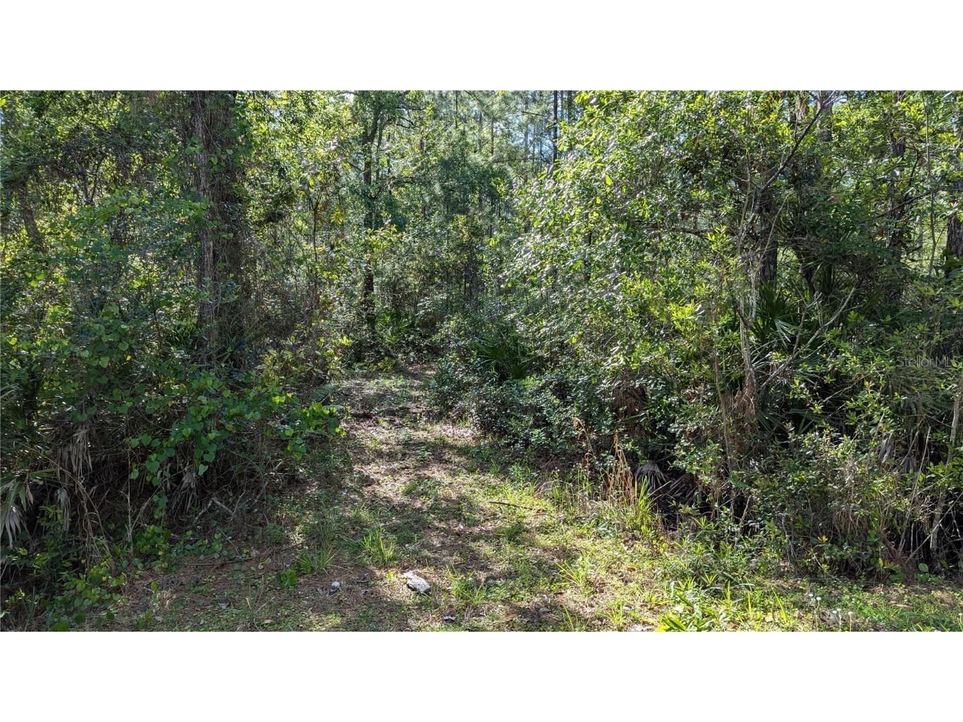 00 NE 108th Place Waldo FL 32694 GC529878 image5