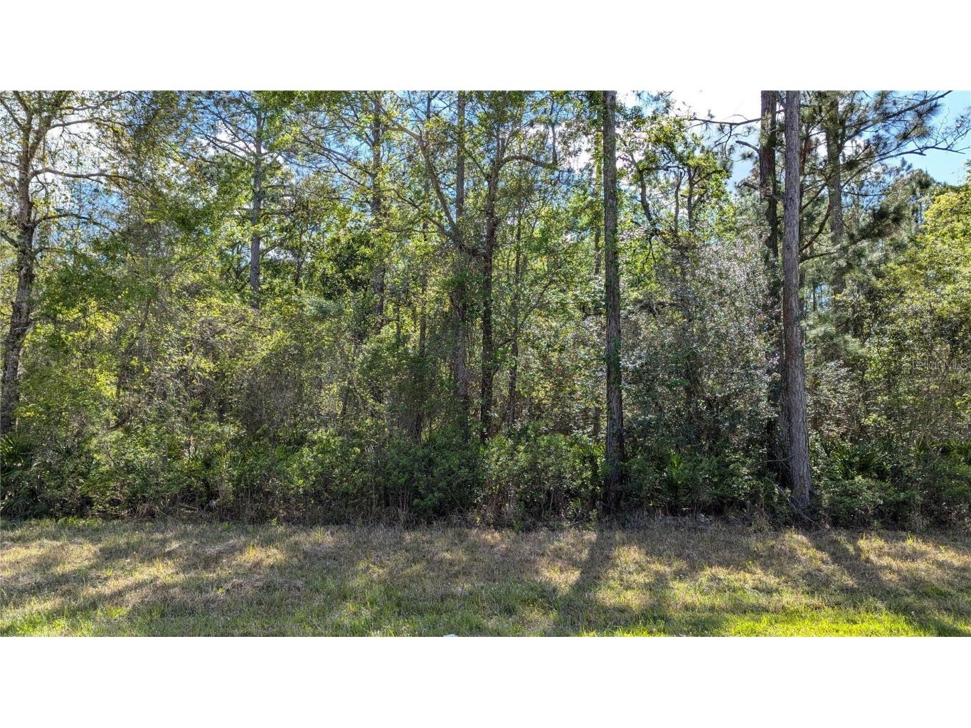 00 NE 108th Place Waldo FL 32694 GC529878 image6