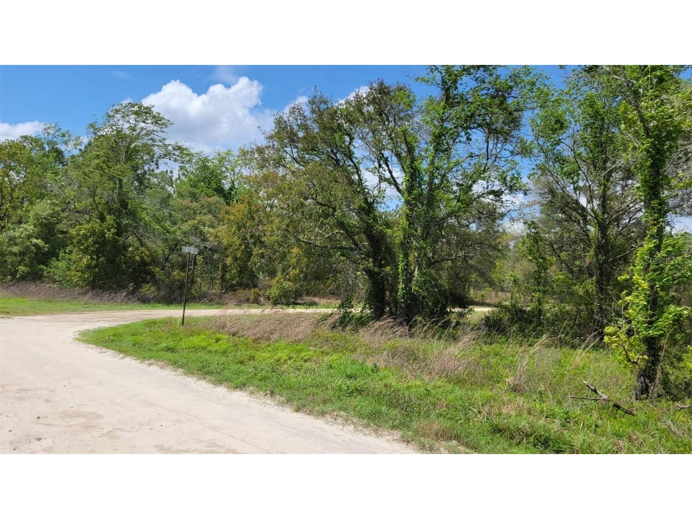 00 NE 10th Street Williston FL 32696 OM637064 image1