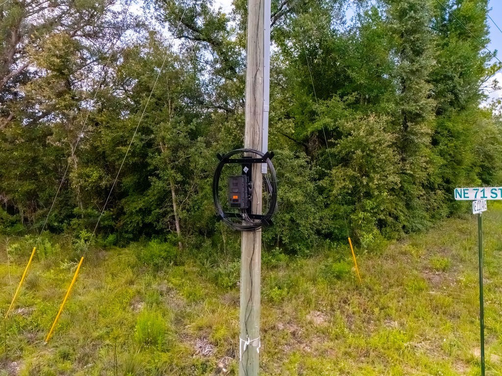 00 NE 110 Avenue Bronson FL 32621 OM704994 image10