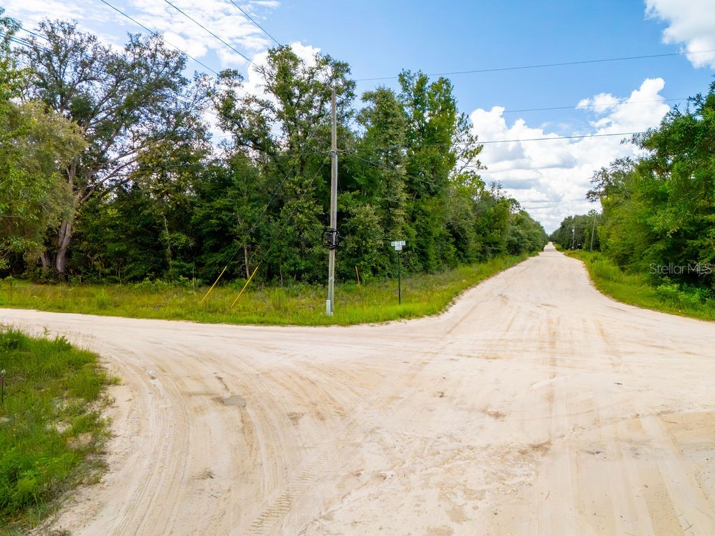 00 NE 110 Avenue Bronson FL 32621 OM704994 image11