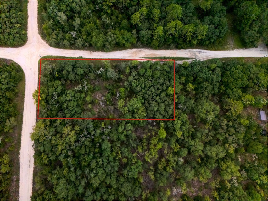 00 NE 110 Avenue Bronson FL 32621 OM704994 image2