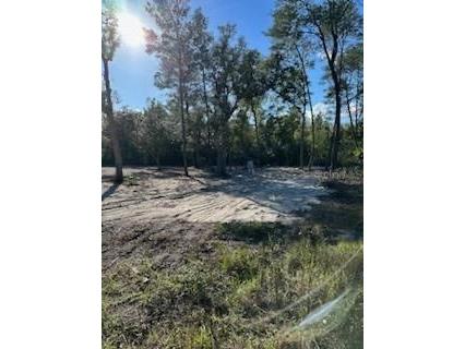 00 NE 111th Court Fort Mc Coy FL 32134 OM668384 image1