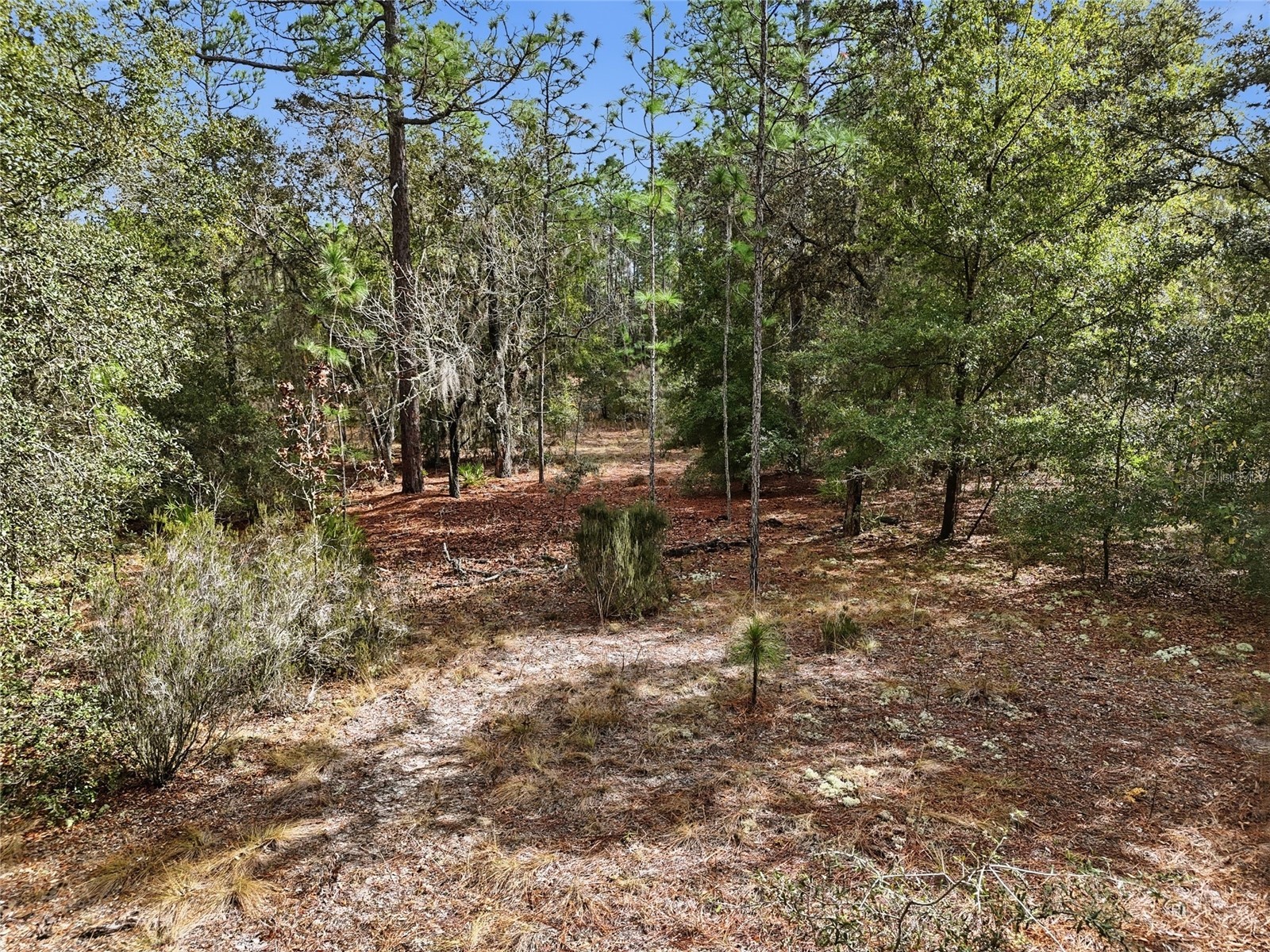 00 NE 111th Lane Bronson FL 32621 GC536967 image11