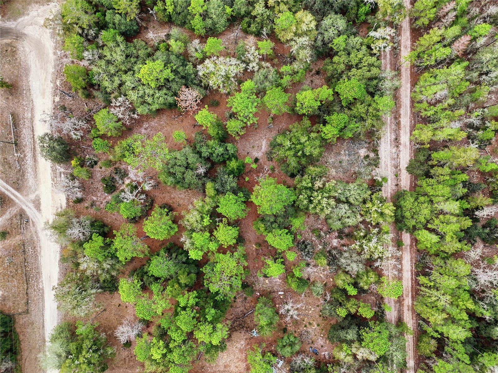 00 NE 111th Lane Bronson FL 32621 GC536967 image6