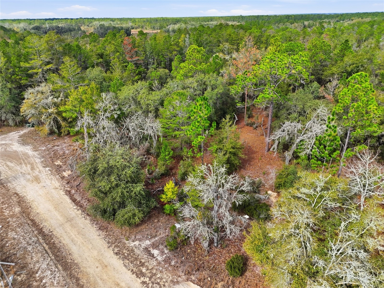 00 NE 111th Lane Bronson FL 32621 GC536967 image7