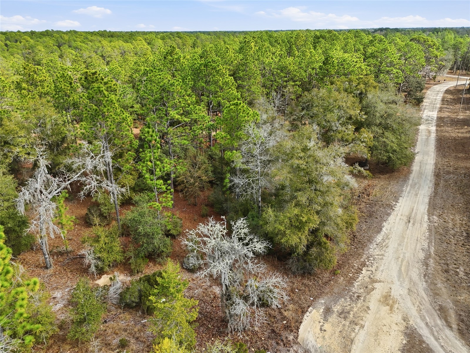 00 NE 111th Lane Bronson FL 32621 GC536967 image8