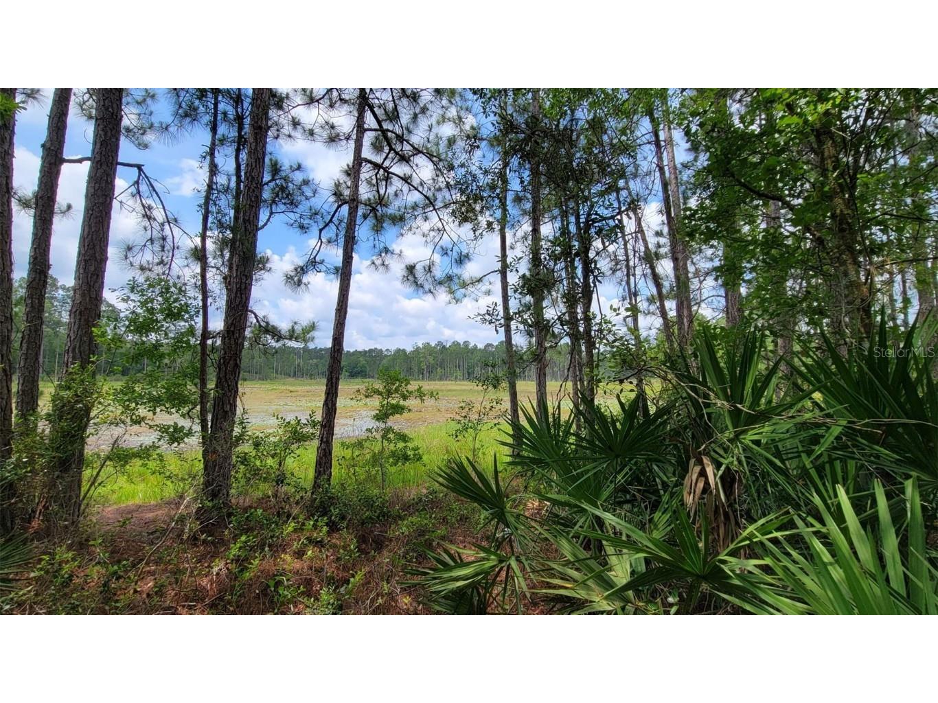 00 NE 122 Place Bronson FL 32621 OM658408 image1