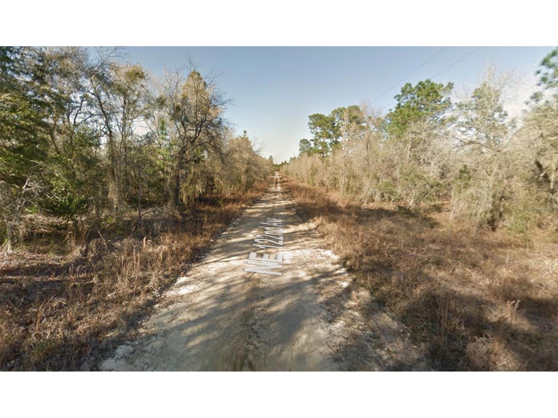 00 NE 122nd Avenue Williston FL 32696 OM672757 image2