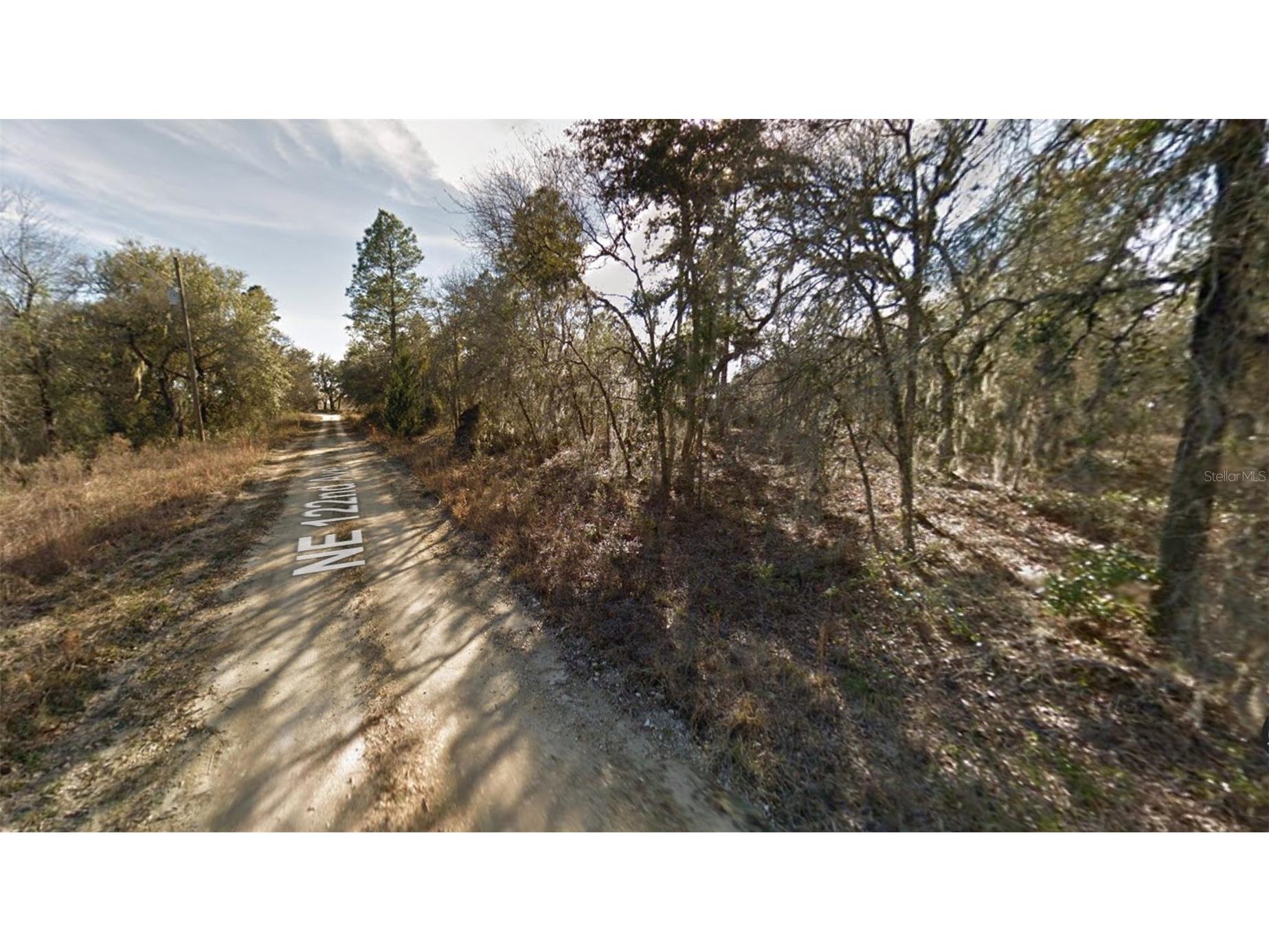 00 NE 122nd Avenue Williston FL 32696 OM672757 image3