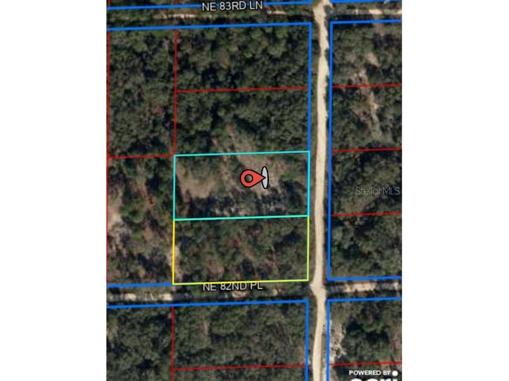 T.B.D NE 122nd Court Bronson FL 32621 OM685638 image1