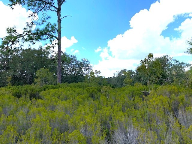 00 NE 124th Terrace Williston FL 32696 OM665830 image1