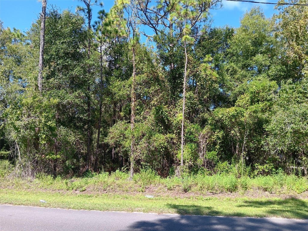 00 NE 126th Avenue Williston FL 32696 OM684980 image1