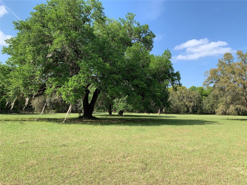 00 NE 127 Place Anthony FL 32617 OM655482 image1