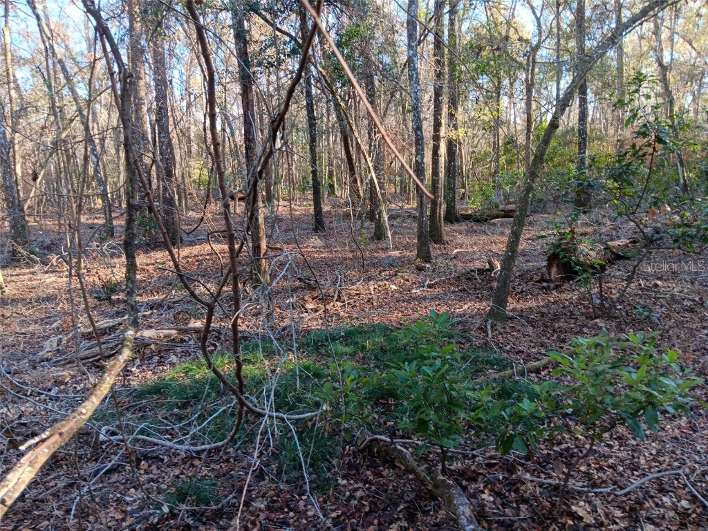 00 NE 127 Street #N127S Branford FL 32008 OM694091 image1