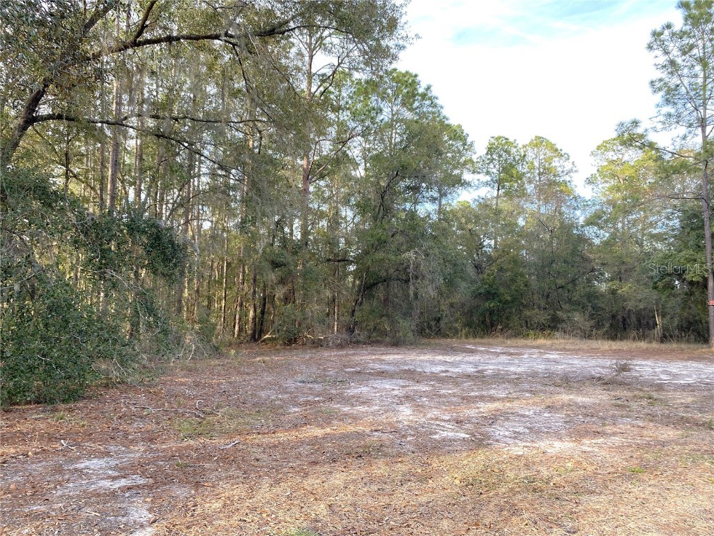 00 NE 128th Lane Bronson FL 32621 OM671008 image1