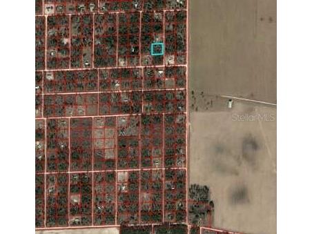 00 NE 129th Avenue Williston FL 32696 OM712280 image1