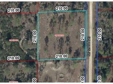 00 NE 129th Avenue Williston FL 32696 OM723080 image1