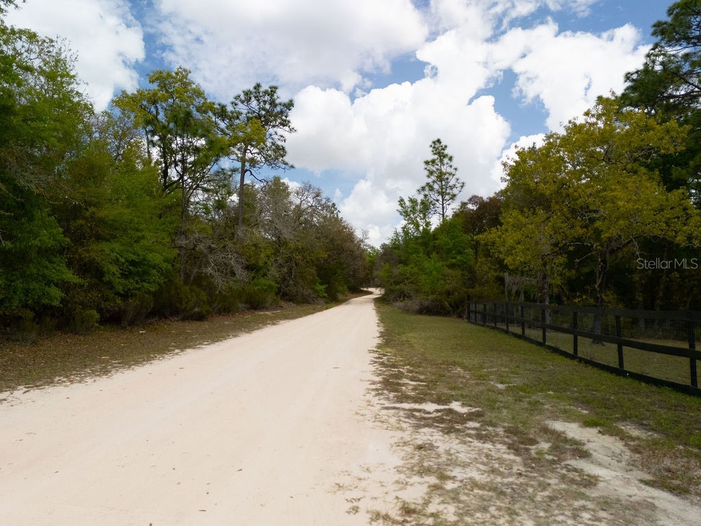 00 NE 131st Terrace Bronson FL 32621 OM722251 image11