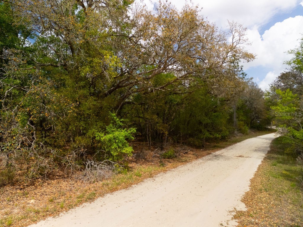 00 NE 131st Terrace Bronson FL 32621 OM722251 image12