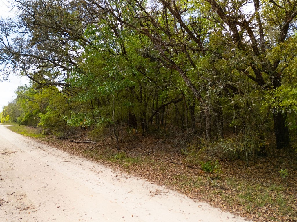 00 NE 131st Terrace Bronson FL 32621 OM722251 image15