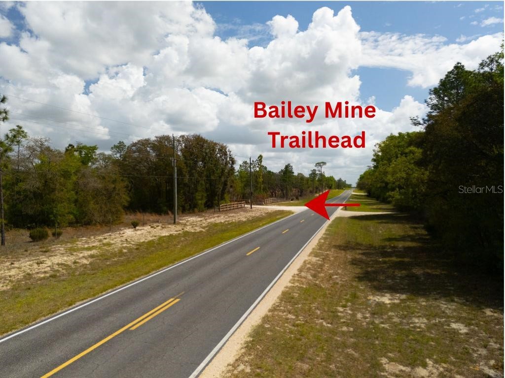 00 NE 131st Terrace Bronson FL 32621 OM722251 image16