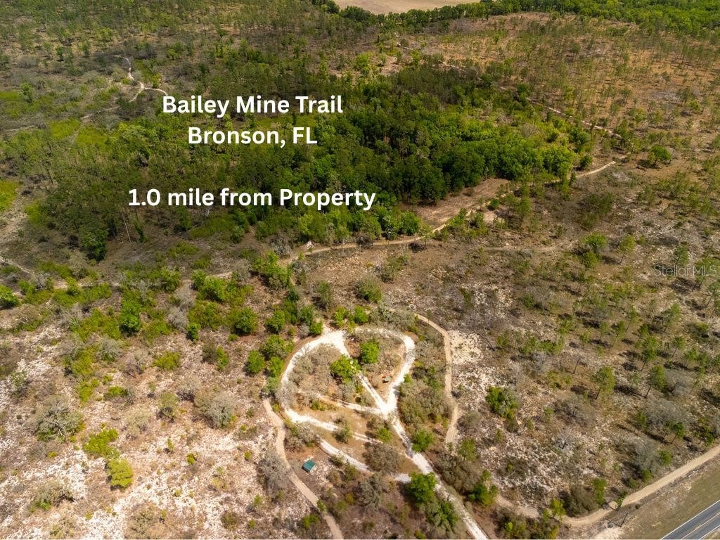 00 NE 131st Terrace Bronson FL 32621 OM722251 image19